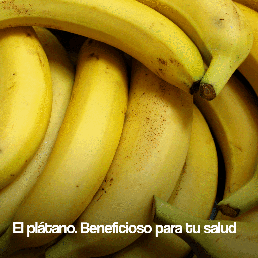 proyecto entrada blog